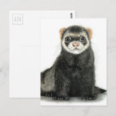 Carte Postale Amusement de furet ! (Devant / Derrière)