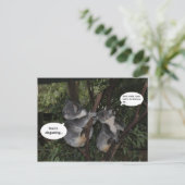 Carte Postale Amusement de koala (Debout devant)