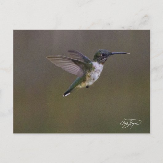 Carte Postale Amusement d'été (Devant)