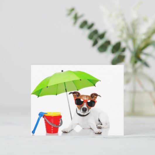 Carte Postale Amusement d'été (Debout devant)