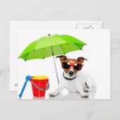 Carte Postale Amusement d'été (Devant / Derrière)