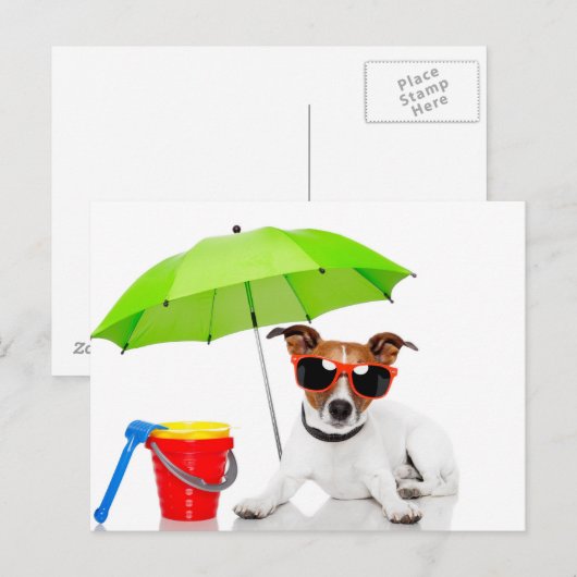 Carte Postale Amusement d'été (Devant / Derrière)