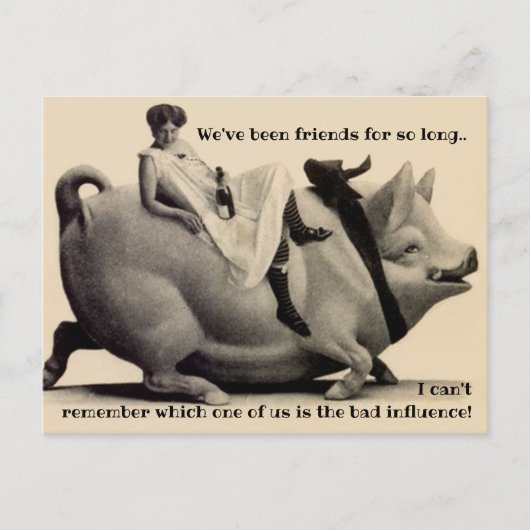 Carte Postale Amusement humour amitié copine rigolades cochon bo (Devant)