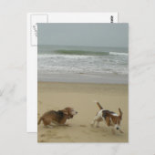 Carte Postale Amusement sur la plage (Devant / Derrière)