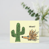 Carte postale AN- Funny Porcupine (Debout devant)