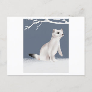 Carte Postale An illustration of a weasel painted in watercolor