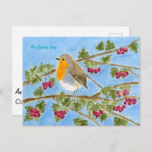 Carte Postale An Spideog beag postcard (Devant / Derrière)