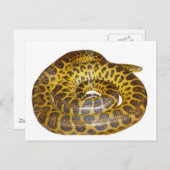 Carte Postale Anaconda jaune (Devant / Derrière)