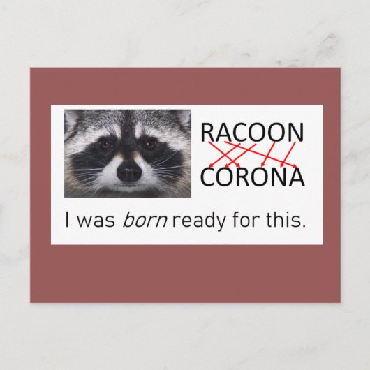 Carte Postale Anagramme raccoon Corona l'a reçu 19 faire le masq (Devant)