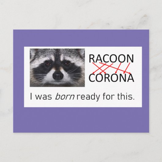 Carte Postale Anagramme raccoon Corona l'a reçu 19 faire le masq (Devant)