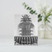 Carte Postale Ananas Apaisant (Debout devant)