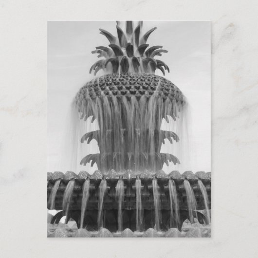 Carte Postale Ananas apaisant (Devant)