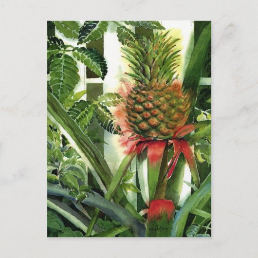 Carte Postale Ananas dans la jungle (Devant)