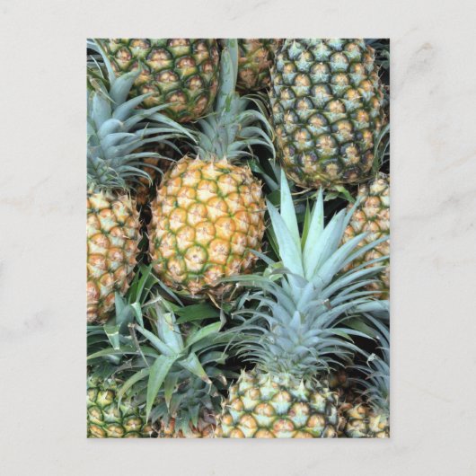 Carte Postale Ananas turquoise, vert et doré hawaïen (Devant)