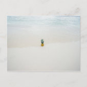 Carte Postale Ananas unique sur la plage (Devant)