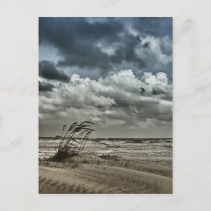 Carte Postale Anastasia 3