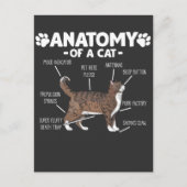Carte Postale Anatomie amusante d'un chat Cute Kitty Lover propr (Devant)