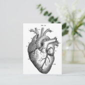 Carte Postale Anatomie-Coeur-Images-Vintage (Debout devant)