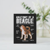 Carte Postale Anatomie de Beagle Chien Drôle (Debout devant)