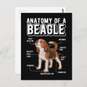 Carte Postale Anatomie de Beagle Chien Drôle (Devant / Derrière)