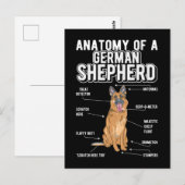 Carte Postale Anatomie de Berger Allemand Chien Drôle (Devant / Derrière)