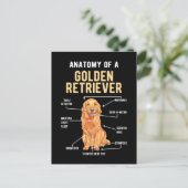 Carte Postale Anatomie de Golden Retriever Chien Drôle (Debout devant)