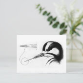 Carte Postale Anatomie de la langue du pic (Debout devant)