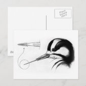 Carte Postale Anatomie de la langue du pic (Devant / Derrière)