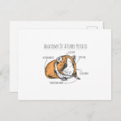 Carte Postale Anatomie des cochons de Guinée (Devant / Derrière)