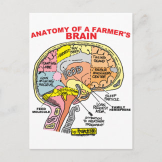 CARTE POSTALE ANATOMIE DU CERVEAU D'UN AGRICULTEUR