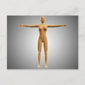 Carte Postale Anatomie Du Corps Féminin Avec Système Nerveux (Devant)