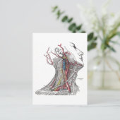 Carte Postale Anatomie du cou (Debout devant)