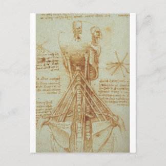 Carte Postale Anatomie du cou par Léonard de Vinci c. 1515