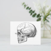 Carte Postale Anatomie du crâne (Debout devant)