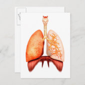 Carte Postale Anatomie Du Système Respiratoire Humain, Vue Avant (Devant / Derrière)