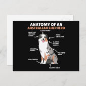 Carte Postale Anatomie D'Un Berger Australien Chiens Doux (Devant / Derrière)