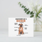 Carte Postale Anatomie D'Un Chien Doux Boxer Chien Chien Chien C (Debout devant)