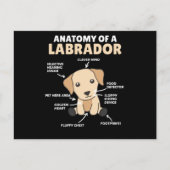 Carte Postale Anatomie D'Un Chien Doux Du Labrador Retriever (Devant)