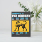 Carte Postale Anatomie D'Un Chien Irlandais De Wolfhound - Amant (Debout devant)
