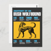 Carte Postale Anatomie D'Un Chien Irlandais De Wolfhound - Amant (Devant / Derrière)