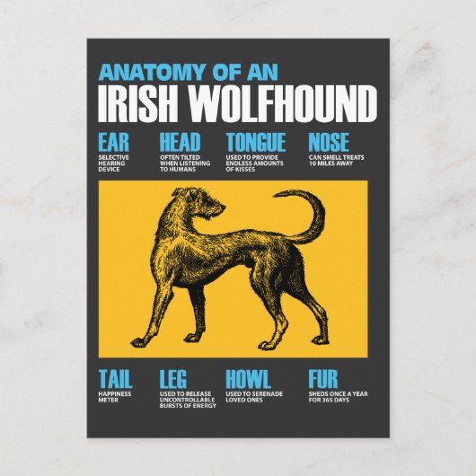 Carte Postale Anatomie D'Un Chien Irlandais De Wolfhound - Amant (Devant)