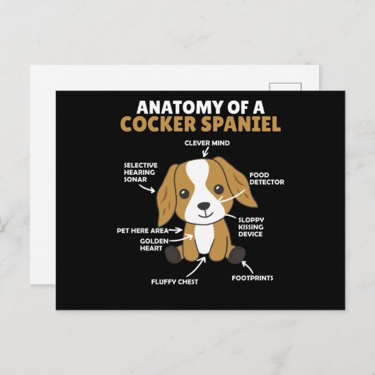 Carte Postale Anatomie D'Un Cocker Spaniel Cute Chiens Chiot (Devant / Derrière)