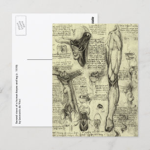 Carte Postale Anatomie humaine vintage Larynx Jambe Léonard de V
