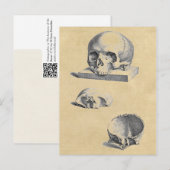 Carte Postale Anatomie Médicale du crâne humain (Devant / Derrière)
