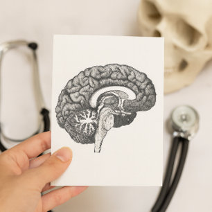 Carte Postale Anatomie médicale vintage illustration cerveau hum