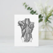 Carte Postale Anatomie vintage (Debout devant)