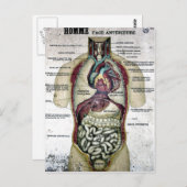 Carte postale Anatomie vintage (Devant / Derrière)
