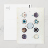 Carte Postale Anatomie vintage de l'oeil humain (Devant / Derrière)