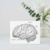 Carte Postale Anatomie vintage du cerveau (Debout devant)