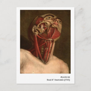 Carte Postale Anatomie vintage   Tête et cou